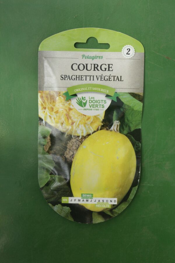 Graines courge spaghetti vegetal Doigts Verts Jardipradel 2