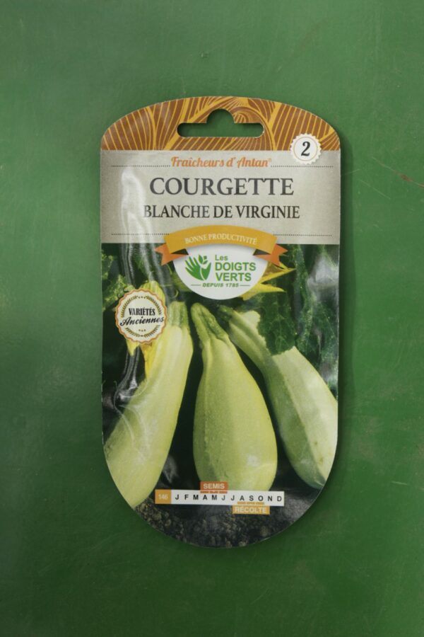 Graines courgette blanche de virginie Doigts Verts Jardipradel 2