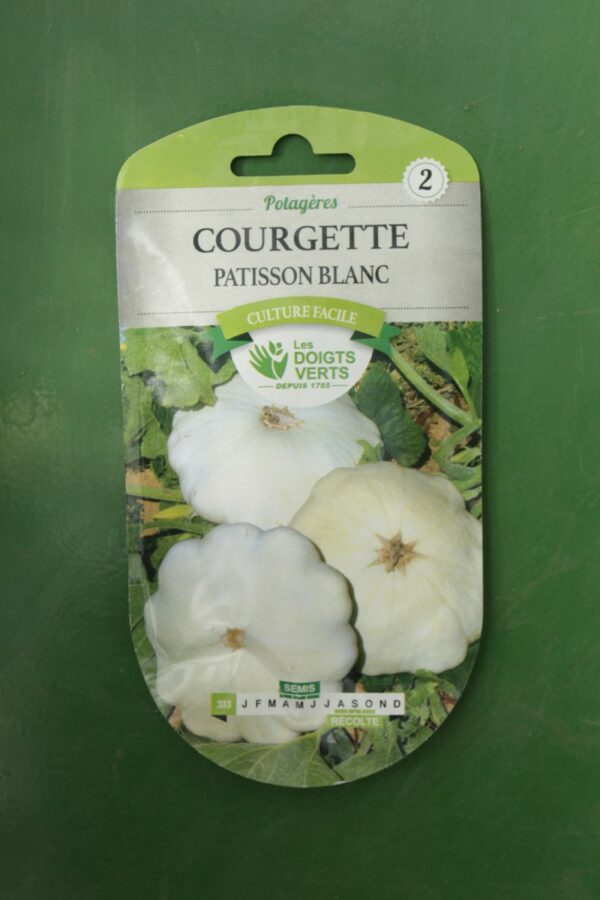 Graines courgette patisson blanc Doigts Verts Jardipradel 2