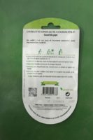 Graines courgette ronde jaune floridor hybride f1 1