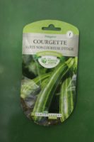 Graines courgette verte non coureuse ditalie Doigts Verts Jardipradel 2