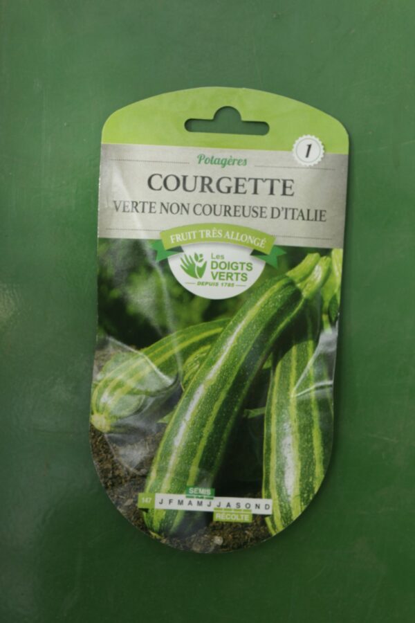 Graines courgette verte non coureuse ditalie Doigts Verts Jardipradel 2