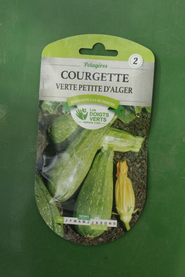 Graines courgette verte petite dalger Doigts Verts Jardipradel 2