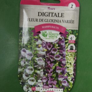 Graines digitale fleur de gloxinia variee Doigts Verts Jardipradel 2