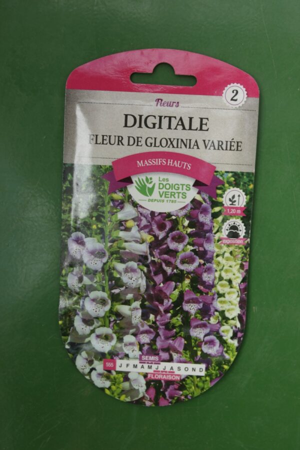 Graines digitale fleur de gloxinia variee Doigts Verts Jardipradel 2