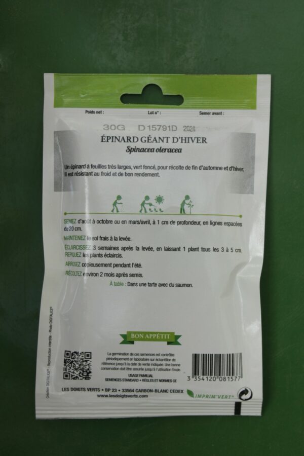 Graines epinard geant dhiver eco Doigts Verts Jardipradel 1