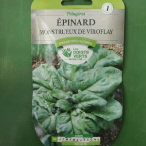 Graines epinard monstrueux de viroflay Doigts Verts Jardipradel 2