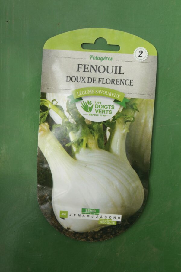 Graines fenouil doux de florence Doigts Verts Jardipradel 2