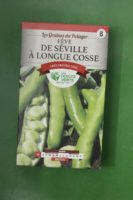 Graines feve de seville a longue cosse Doigts Verts Jardipradel 2
