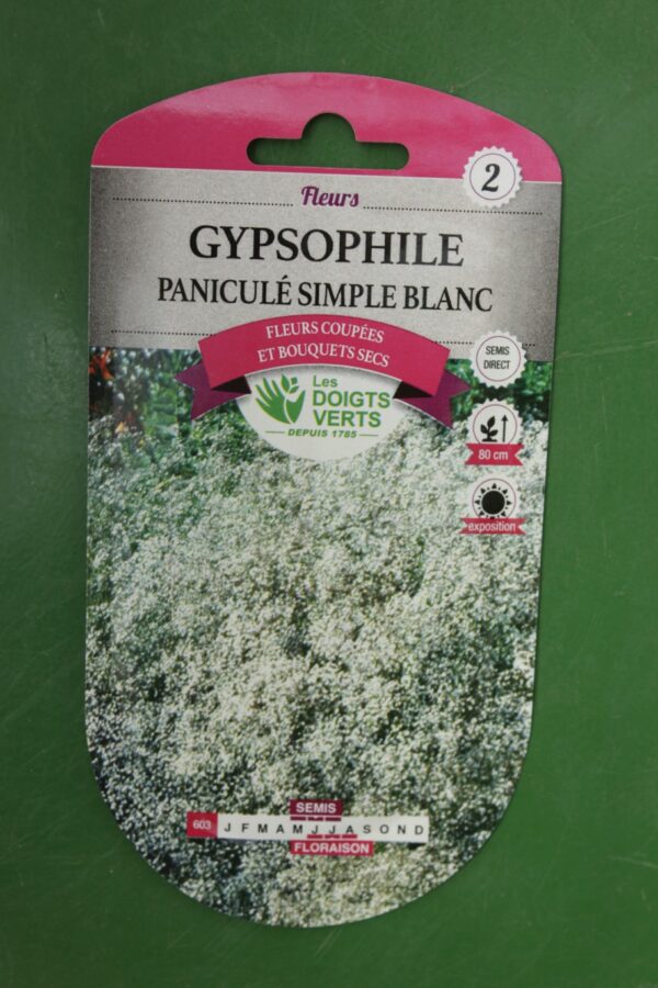 Graines gypsophile panicule simple blanc Doigts Verts Jardipradel 2