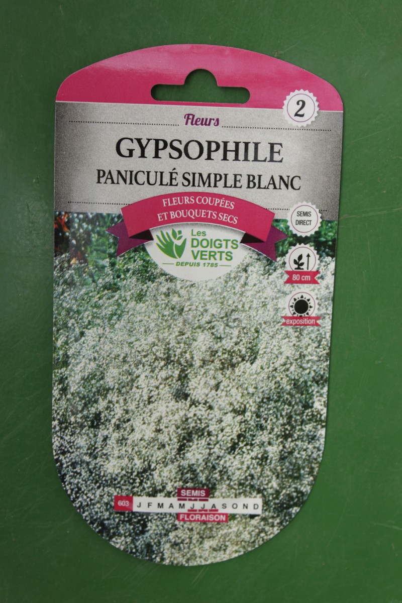 Gypsophile panicule simple blanc - Jardi Pradel - Jardinerie et fleuriste à  Bagnères-de-Luchon