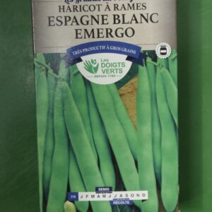 Graines haricot a rames espagne blanc emergo Doigts Verts Jardipradel 2