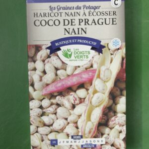 Graines haricot nain a ecosser coco de prague nain Doigts Verts Jardipradel 2
