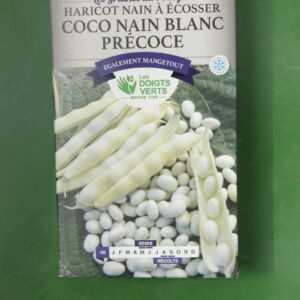 Graines haricot nain a ecosser coco nain blanc precoce Doigts Verts Jardipradel 2