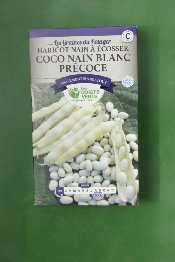 Graines haricot nain a ecosser coco nain blanc precoce Doigts Verts Jardipradel 2