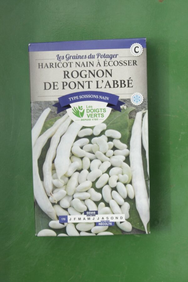 Graines haricot nain a ecosser rognon de pont labbe Doigts Verts Jardipradel 2