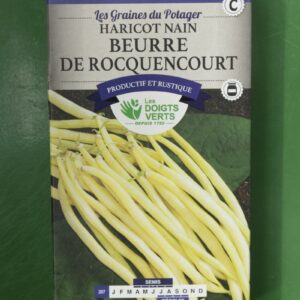 Graines haricot nain beurre de rocquencourt Doigts Verts Jardipradel 2