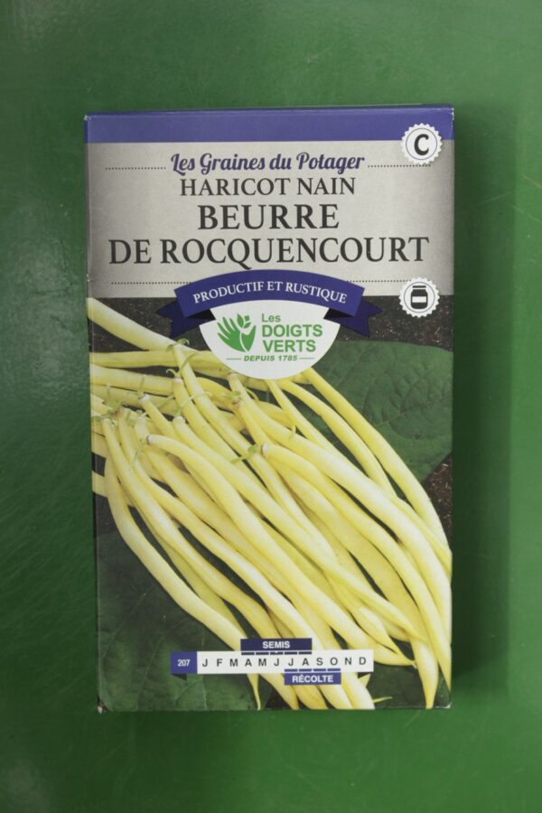 Graines haricot nain beurre de rocquencourt Doigts Verts Jardipradel 2