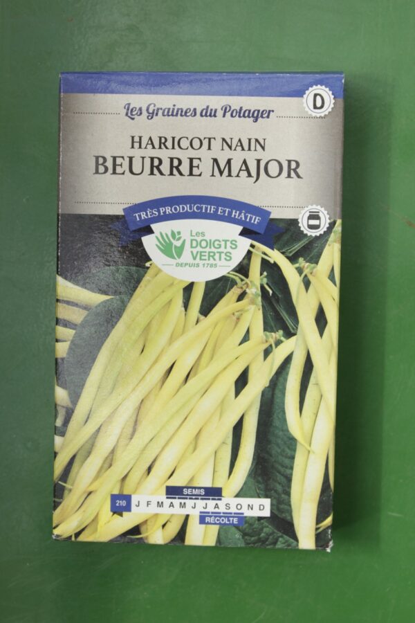 Graines haricot nain beurre major Doigts Verts Jardipradel 2