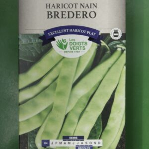 Graines haricot nain bredero Doigts Verts Jardipradel 2