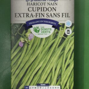 Graines haricot nain cupidon extra fin sans fil Doigts Verts Jardipradel 2