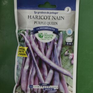 Graines haricote nain purple queen Doigts Verts Jardipradel 2