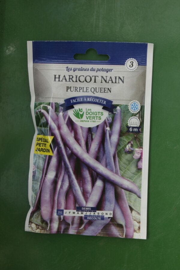 Graines haricote nain purple queen Doigts Verts Jardipradel 2