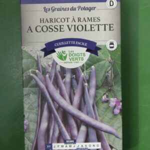 Graines haricots nain a cosse violette Doigts Verts Jardipradel 2