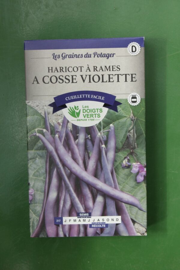 Graines haricots nain a cosse violette Doigts Verts Jardipradel 2