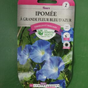 Graines ipomee a grande fleur bleu azur Doigts Verts Jardipradel 2