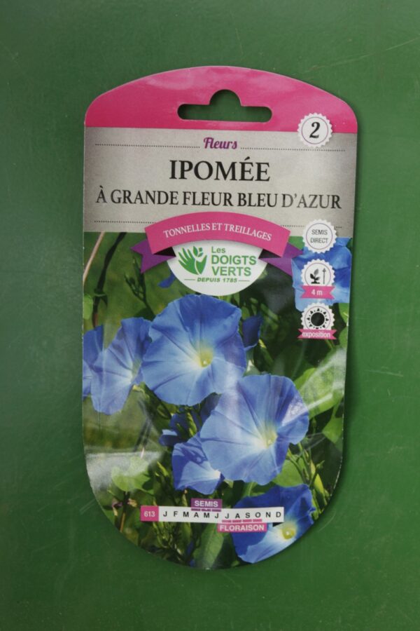 Graines ipomee a grande fleur bleu azur Doigts Verts Jardipradel 2