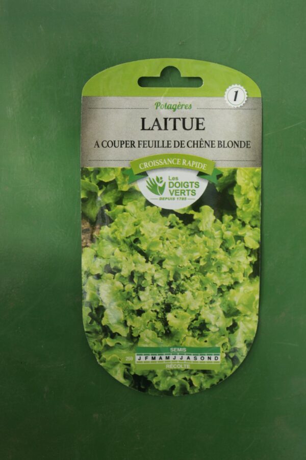 Graines laitue a couper feuille de chene blonde Doigts Verts Jardipradel 2