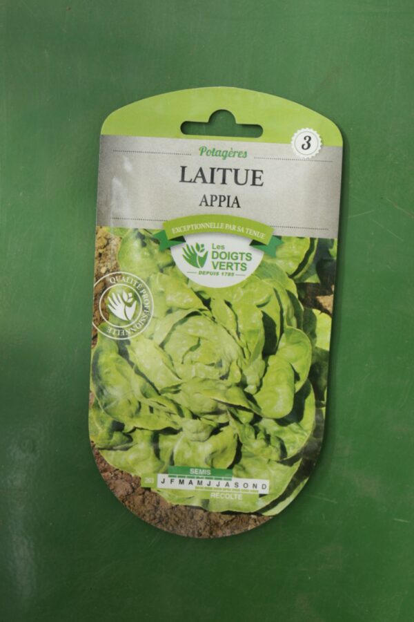 Graines laitue appia Doigts Verts Jardipradel 2