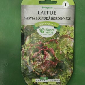 Graines laitue batavia blonde a bord rouge Doigts Verts Jardipradel 2