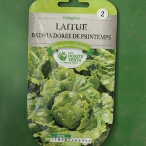 Graines laitue batavia doree de printemps Doigts Verts Jardipradel 2