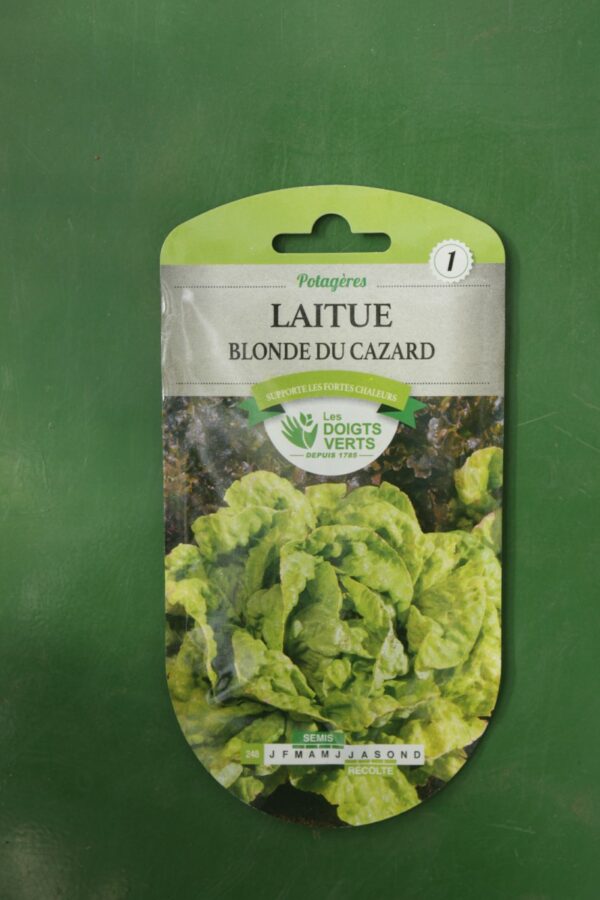 Graines laitue blonde du cazard Doigts Verts Jardipradel 2