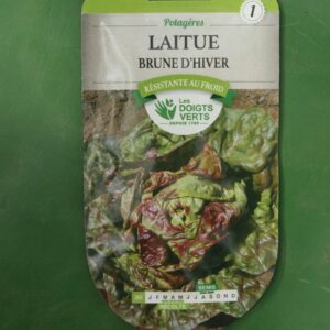 Graines laitue brune dhiver Doigts Verts Jardipradel 2