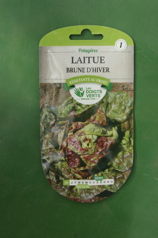 Graines laitue brune dhiver Doigts Verts Jardipradel 2