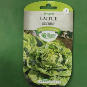 Graines laitue sucrine Doigts Verts Jardipradel 2