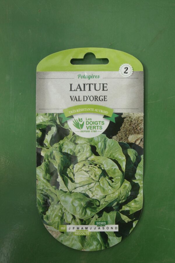 Graines laitue val dorge Doigts Verts Jardipradel 2