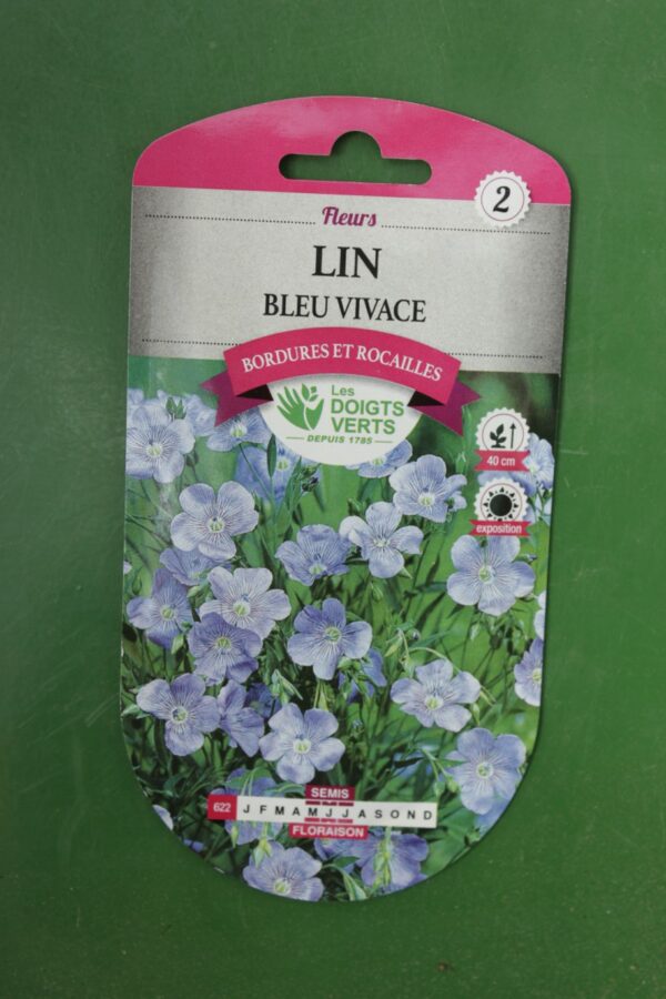 Graines lin bleu vivace Doigts Verts Jardipradel 2