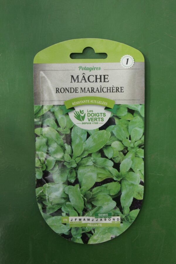 Graines mache ronde maraichere Doigts Verts Jardipradel 2