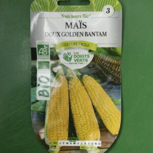 Graines mais doux golden bantam Doigts Verts Jardipradel 2