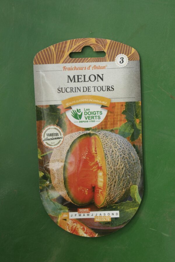 Graines melon sucrin de tours Doigts Verts Jardipradel 2