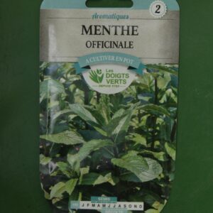 Graines menthe officinale Doigts Verts Jardipradel 2