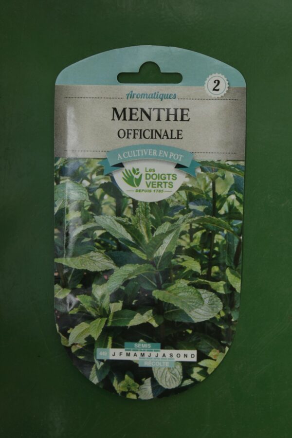 Graines menthe officinale Doigts Verts Jardipradel 2