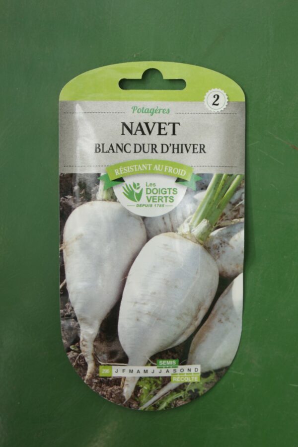 Graines navet blanc dur dhiver Doigts Verts Jardipradel 2