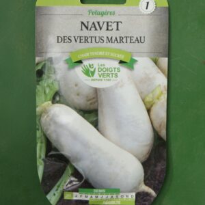Graines navet des vertus marteau Doigts Verts Jardipradel 2