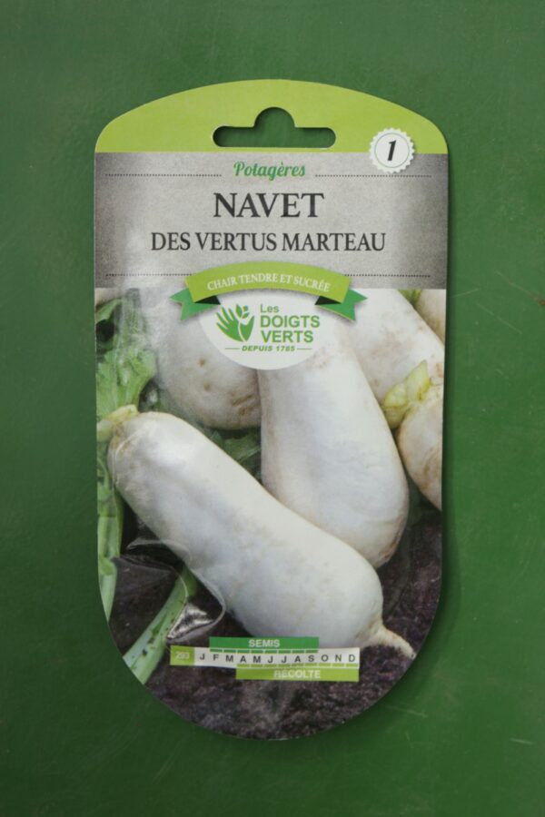 Graines navet des vertus marteau Doigts Verts Jardipradel 2