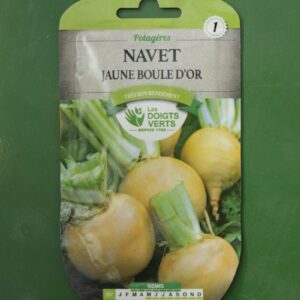Graines navet jaune boule dor Doigts Verts Jardipradel 2